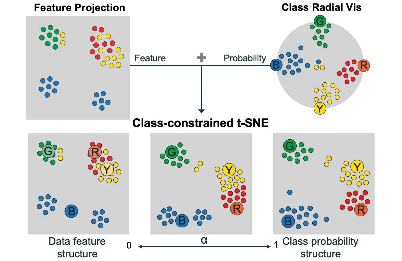 Class-Constrained t‑SNE figure
