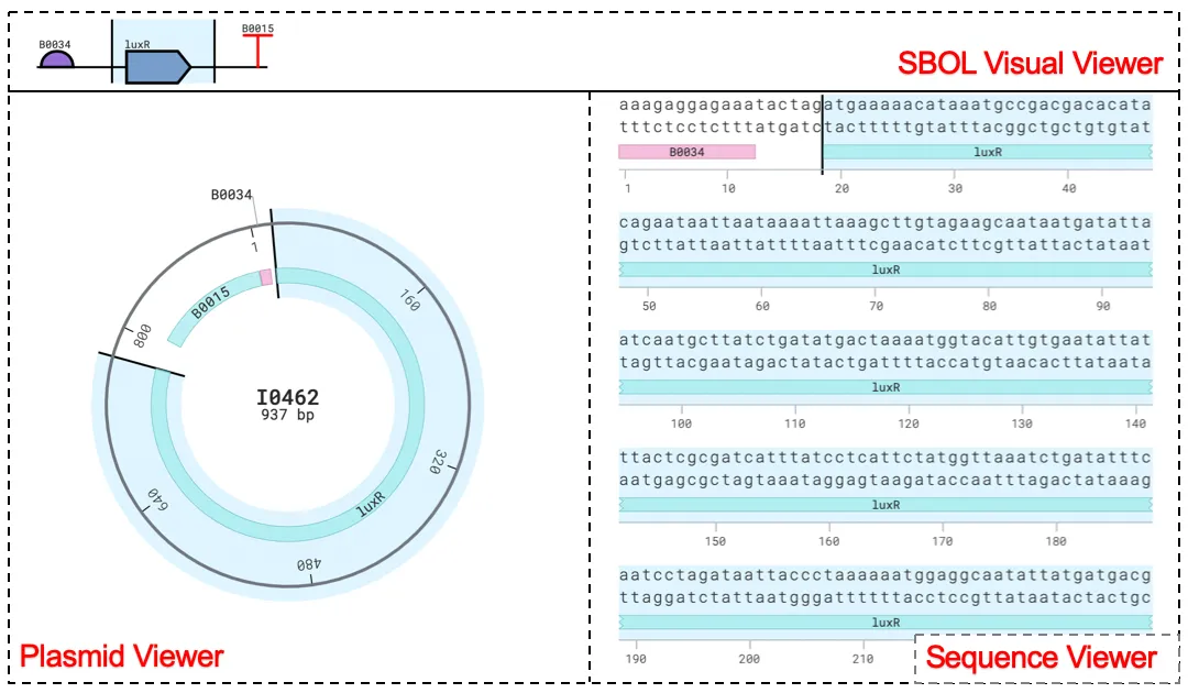 SynBioHub Sequence View figure